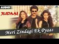 Judaai Meri Zindagi Ek Pyaas Full Audio Song Anil Kapoor Urmila Matondkar Sridevi