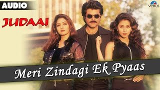 Judaai : Meri Zindagi Ek Pyaas Full Audio Song | Anil Kapoor, Urmila Matondkar & Sridevi |