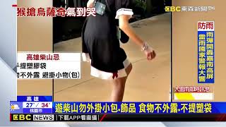 [問卦] 烏薩奇在台女界很紅嗎?