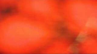 Woche 14 - inner sight