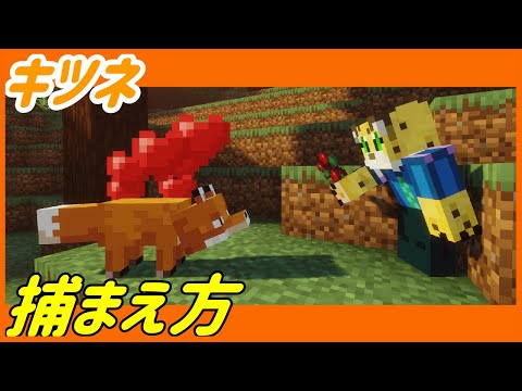 キツネはどうやって繁殖するのでしょうか?