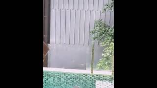 #tiktok #fyp #shorts