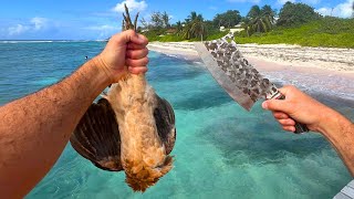 Catching, Butchering, & Cooking a WILD CHICKEN on the Beach!