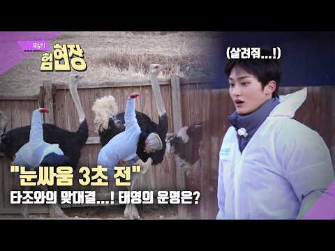 CRAVITY PARK EP.116 Battle with Sheep🐑[Extreme Real-Life Job Site Special Part 2] | VITY PARK 2026