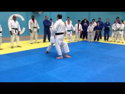 Mark Huizinga - sumo seonagi