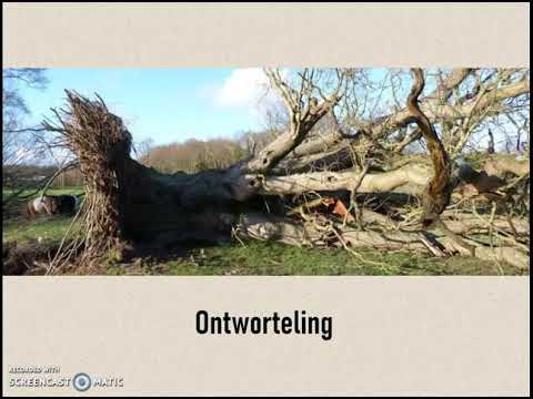 Romantiek deel 1 Introductie en Architectuur