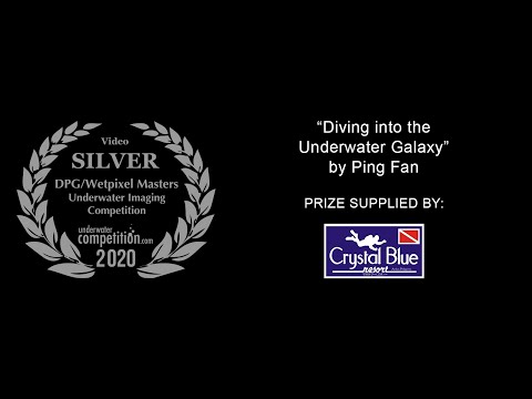 DPG/Wetpixel Masters 2020 Silver Video Winner – “Diving into the Underwater Galaxy” by Ping Fan