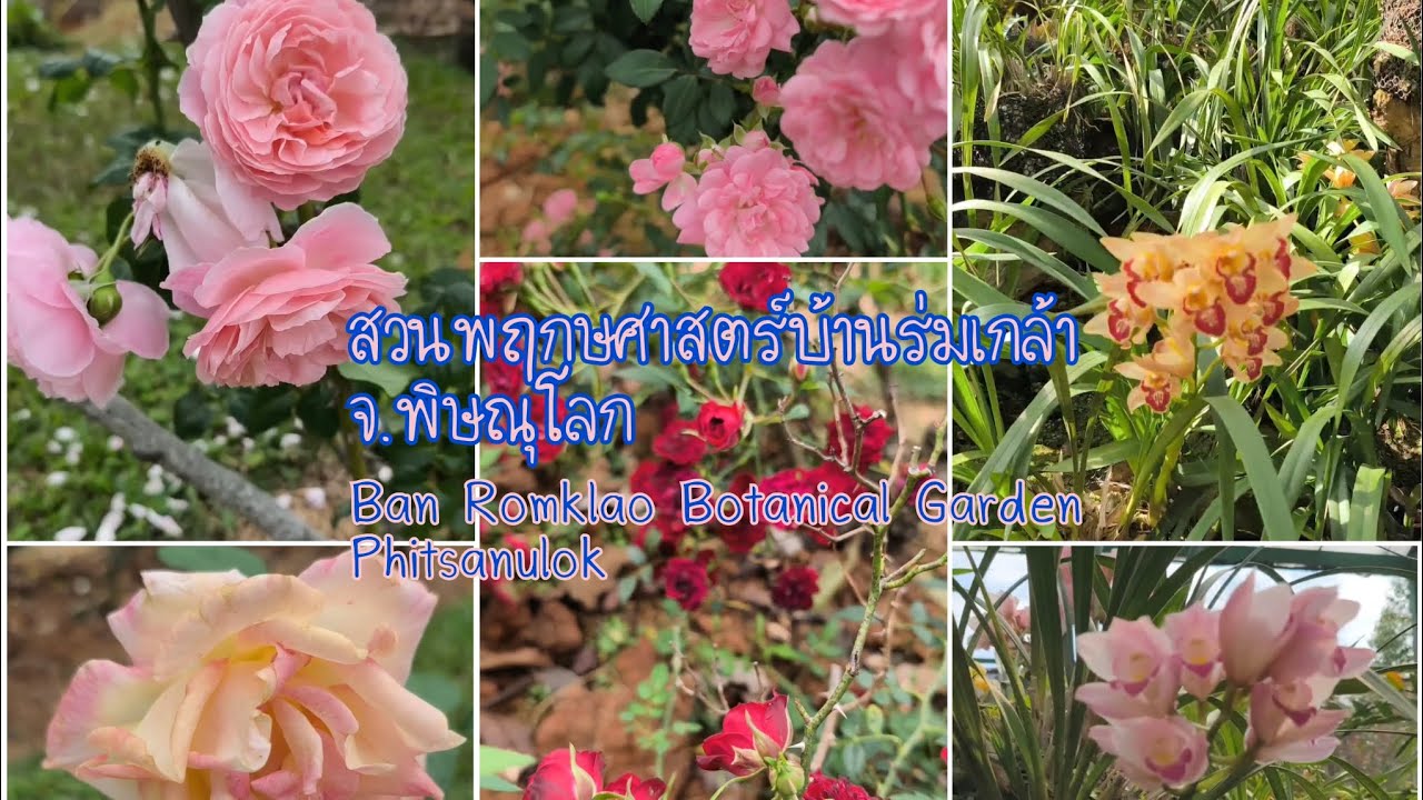 Botanical Garden National Park