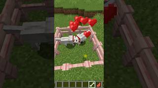 How to Tame and Breed Wolfs in Minecraft #minecraftbreeding #minecraftworld #minecraftwolf