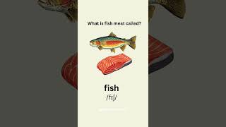 #englishlanguage #easyenglisheveryday #englishquiz #quiztime #quiz #english #englishlearning