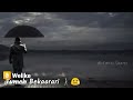 Hot Adult Black Porn Hot Sexy Romantic WhatsApp Status Video 12