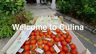 ​Inside Singapore's Gourmet Haven: Where Michelin-Starred Chefs Shop​ | Culina Market & Bistro
