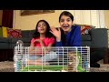 PBS Kids Channel Program Break 2019