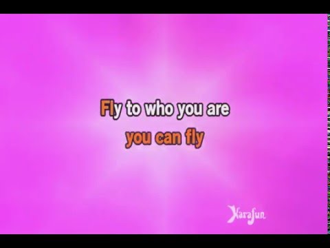 Fly to your heart karaoke