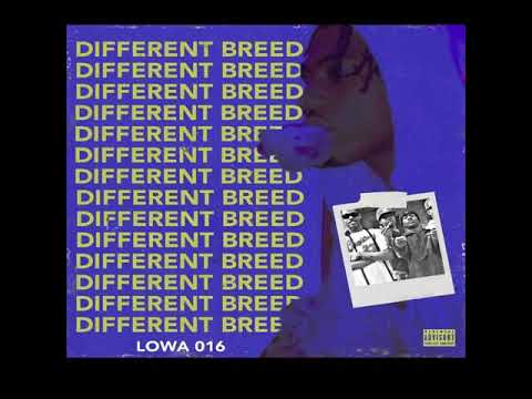 Lowa 016 ft Staxx Yola ,Tim Gzz , Peso Lyl - Brick Function