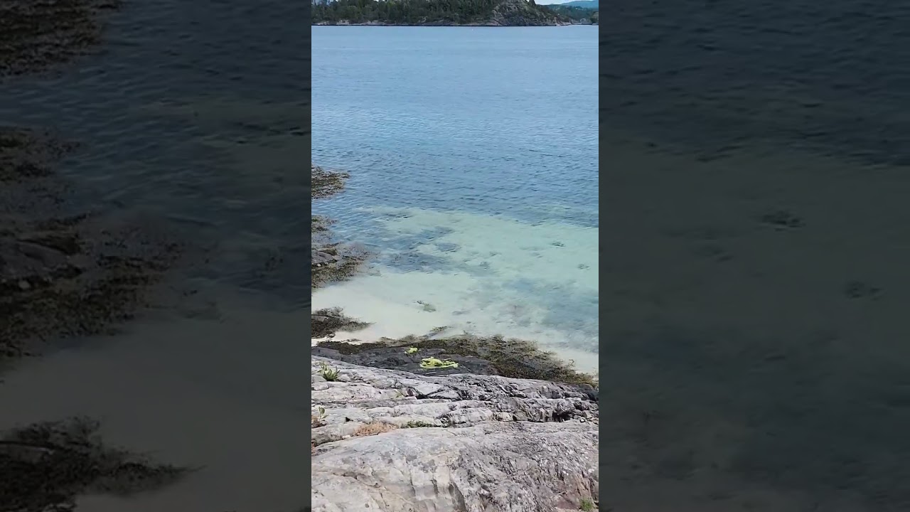 YouTube Short thumbnail