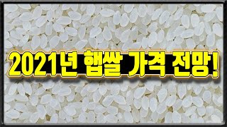2021년 햅쌀 판매 가격과 원가 전망