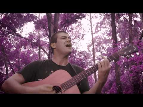 DANKA - "Live at the Feel More'