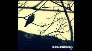 Black River Birds - Morning Star (audio)