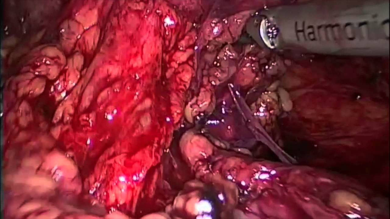 Enzo Mastroberardino-1