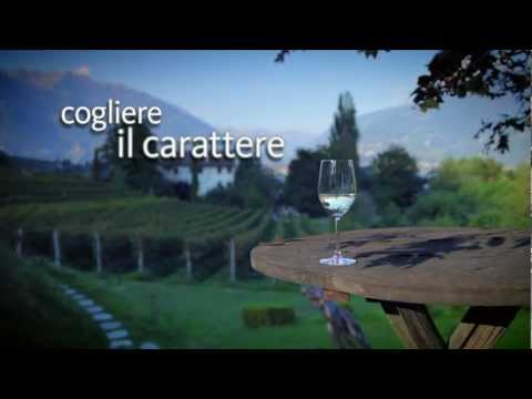 Cogliere il carattere