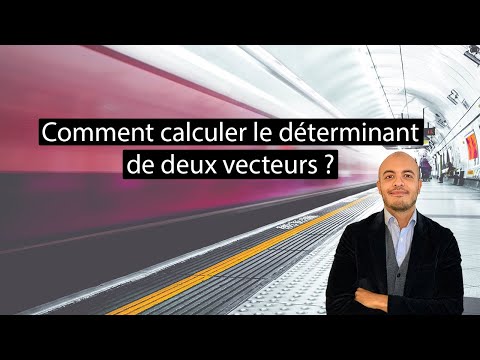 Comment trouver le déterminant de deux vecteurs ? / vecteurs colinéaires