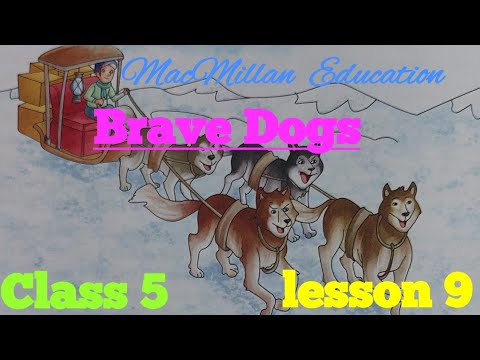 Brave Dogs### English  Treasure ##MacMillan  Education ## lesson 9# Class 5# in Hindi