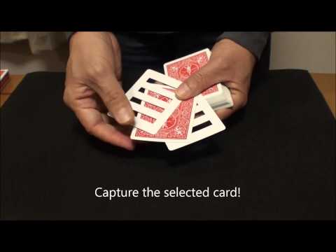 Card Cage by Hideki Tani / SEO MAGIC