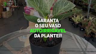 V&iacute;deo do produto