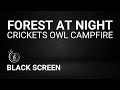Forest Sounds At Night Crickets Owl Campfire Creek Sounds Sleep Relax Yoga Or Meditation