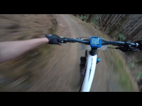 New Zealand's BEST Flow Trail? Te Poaka (The Pig) -  Rotorua, New Zealand