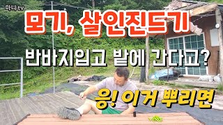 이거 뿌리면 반바지입고 밭에가도 모기.진드기 걱정 없어요#모기기피제 #모스바이