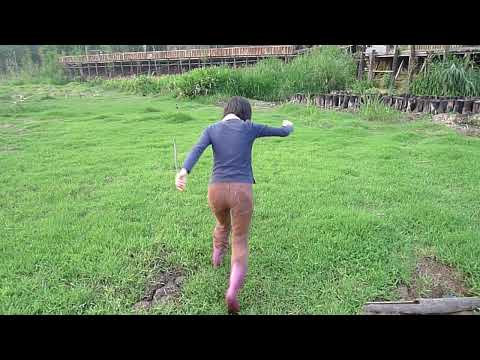 Pantanal misterioso (município de Yuchi, condado de Nantou) - Vídeo de exploração de Taiwan da loja de departamentos de pesquisa especial de Taiwan