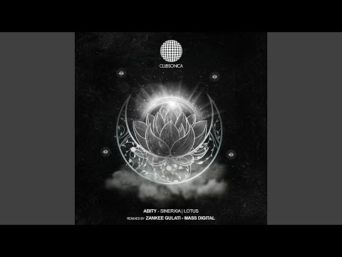 Sinerxia (Zankee Gulati Remix)