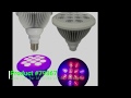 79867 video review thumbnail