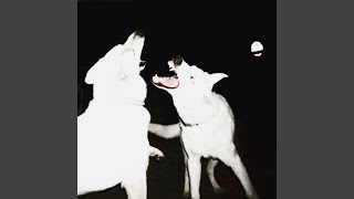 akimboglocks Music Video