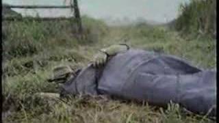 Sesame Street - Everybody Sleeps