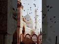 Beautiful Islamic Status Islamic Status On Muslim 4K Islamic Status Short