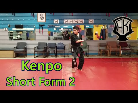 Short form 2 - Ed Parkers Kenpo Karate (Randy Perez)