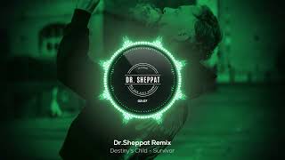 Destiny's Child - Survivor (Dr.Sheppat Remix)