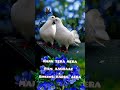 MANN TERA MERA MANN AAGHAAZ