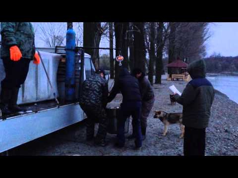 Populare lacul Alunis Piatra-Olt