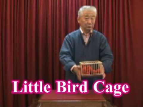 Little Bird Cage by Mikame Craft