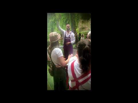 Edinburgh Noise Committee play Kelburn Garden Party 2025 #kelburn #kelburnGardenParty