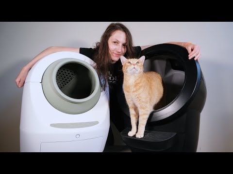 10 Things You Should Know Before Buying an Automatic Litter Box