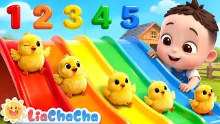 Download lagu Baby Chicks Peep Peep (Numbers Version) | EP273 | Toddler Songs & Preschool Learning | LiaChaCha mp3