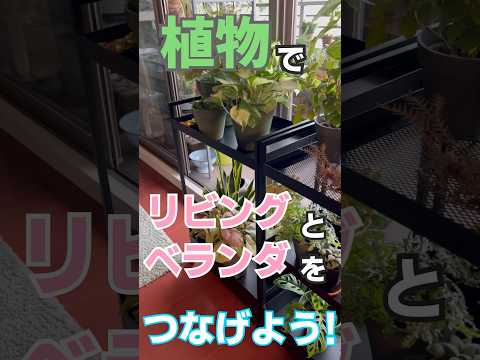 deco-balcon-plantes-géraniums-pots-suspendus