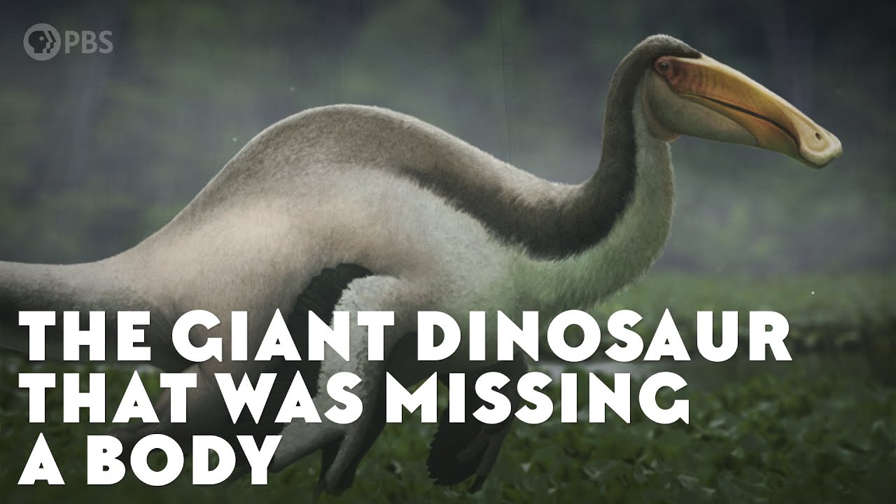 The Giant Dinosaur That Was Missing a Body