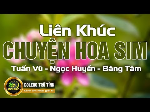 Liên Khúc CHUYỆN HOA SIM | Tuấn Vũ - Băng Tâm - Ngọc Huyền | Liên Khúc Nhạc Hải Ngoại Hay Nhất