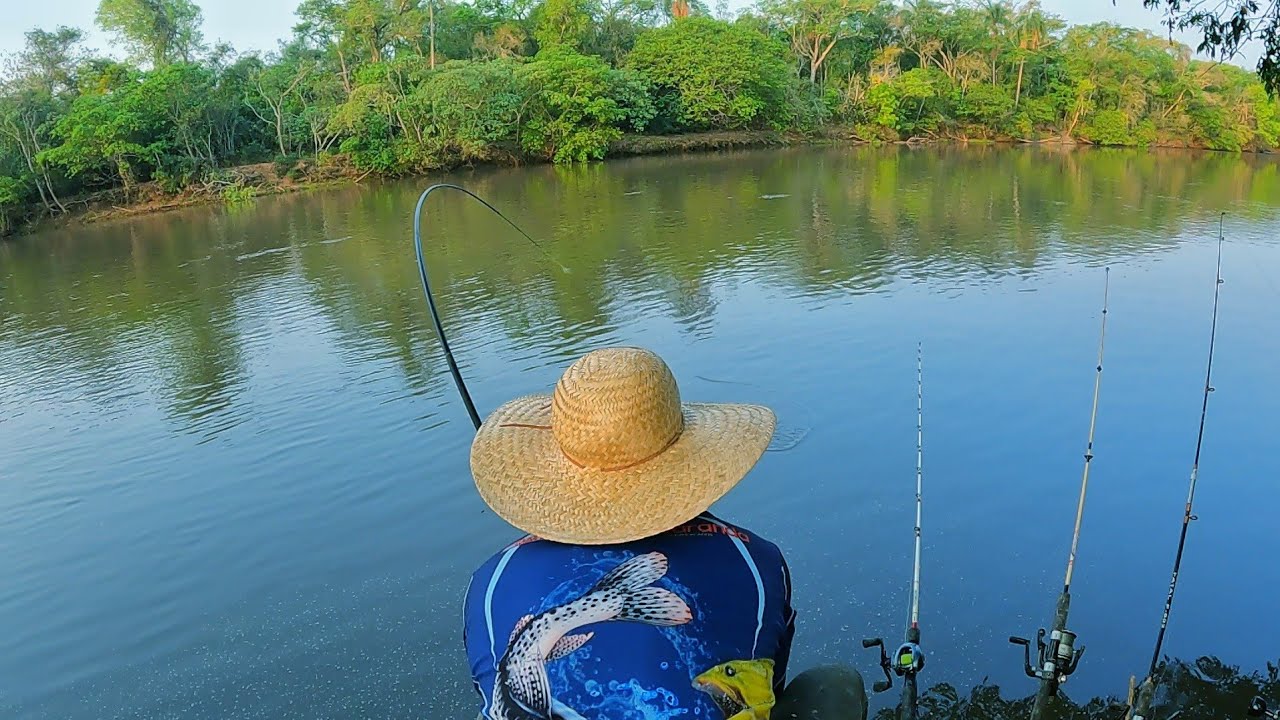 VEJA OQUE ACONTECE QUANDO VOCÊ CEVA O RIO - piau - piapara - peixe frito - #pescaria